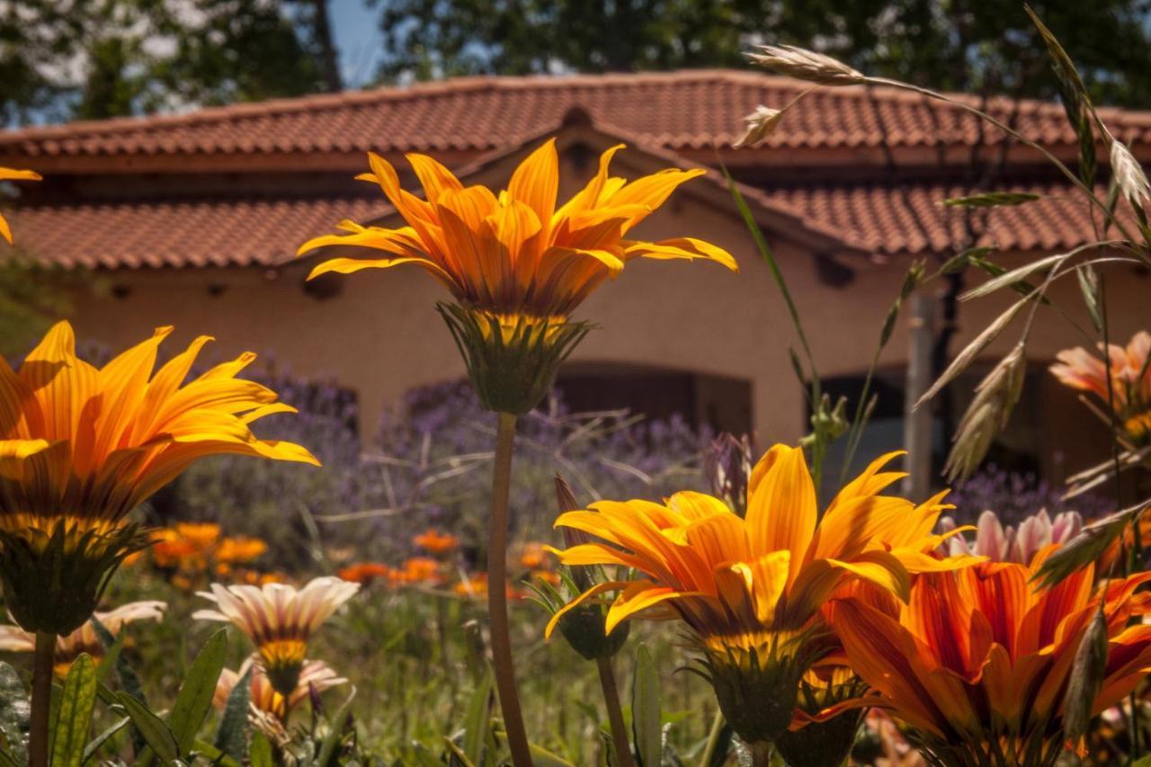 루한데쿠요 Casona Aventurados 빌라 외부 사진